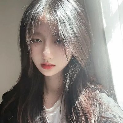 胭脂虎新传