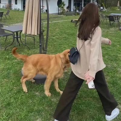 矛矛的假期